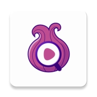 洋葱浏览器 V1.0.0