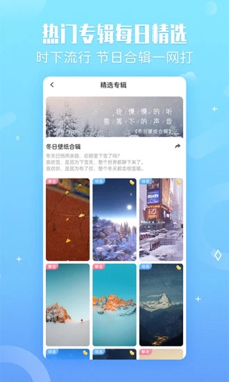 小鸟壁纸4