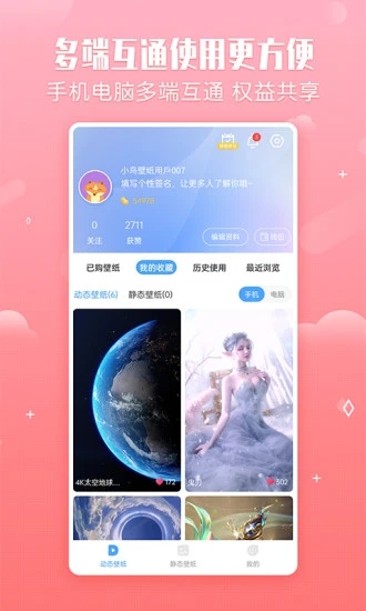 小鸟壁纸5
