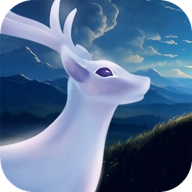 森林影院 V3.1.31