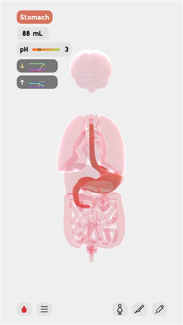 生命life模拟器2