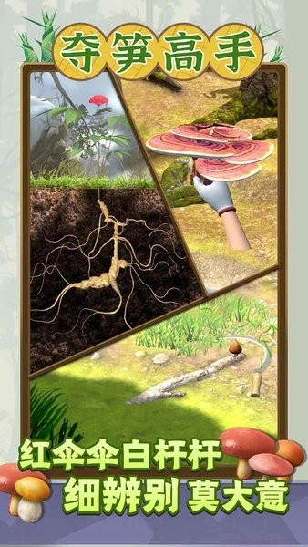 夺笋高手无广告版图3