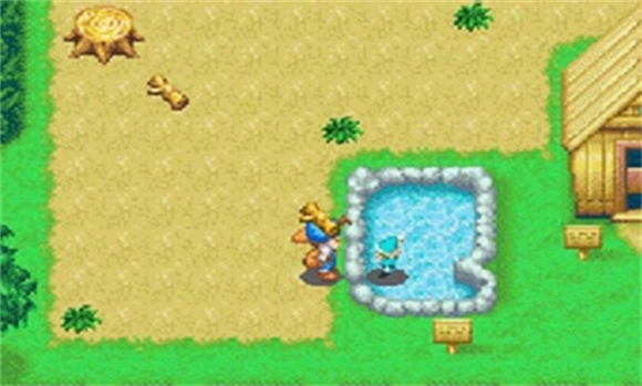 牧场物语精灵驿站图2