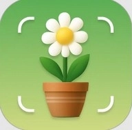 识花君拍照识别植物