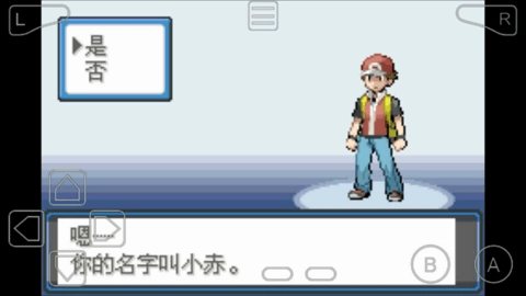 口袋妖怪空之花神图2