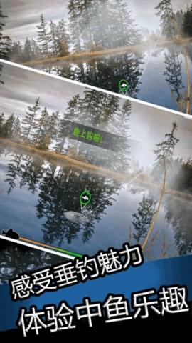真实钓鱼大师2