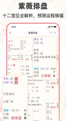 八字排盘助手图3