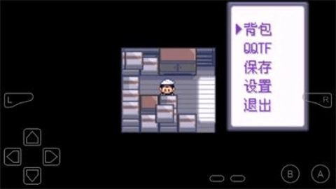 口袋妖怪永恒纪元(1)