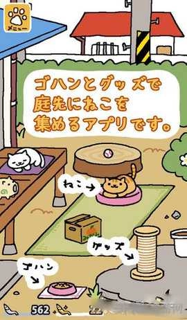 猫咪后院日语版截图2