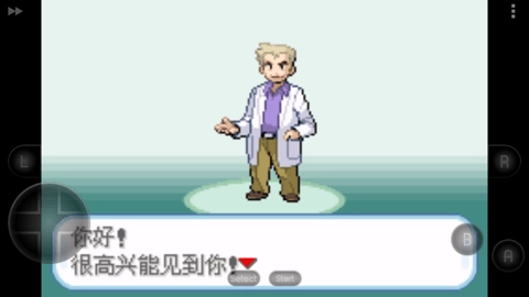 口袋妖怪圣灰中文版图3