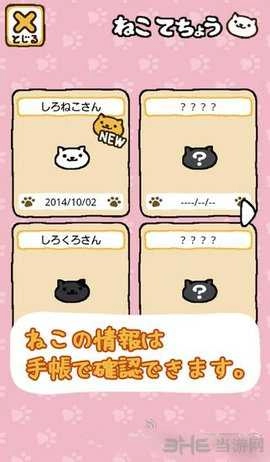 猫咪后院日语版截图1