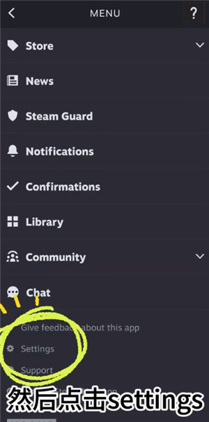 Steam设置入口