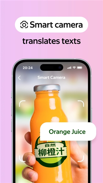 俄罗斯搜索引擎安卓版4