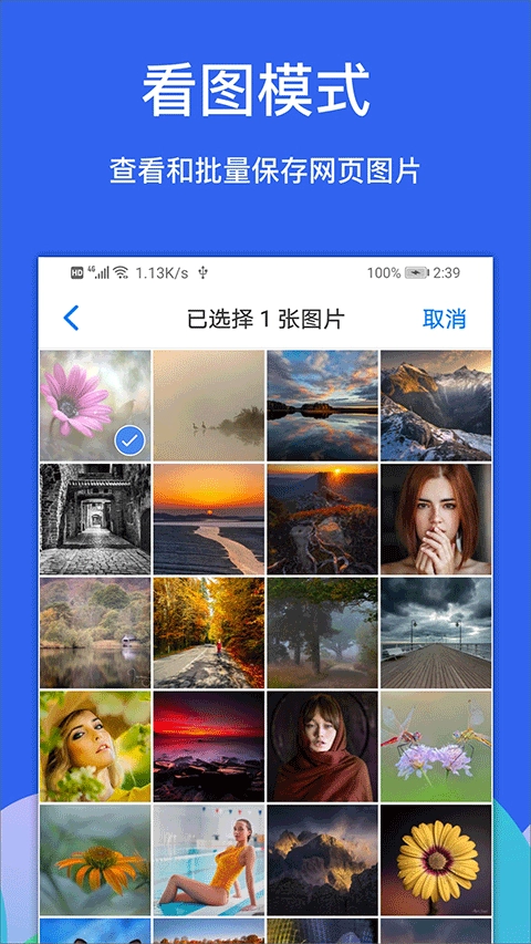 Alook浏览器旧版图4