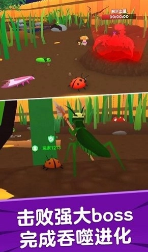 昆虫进化模拟器(3)