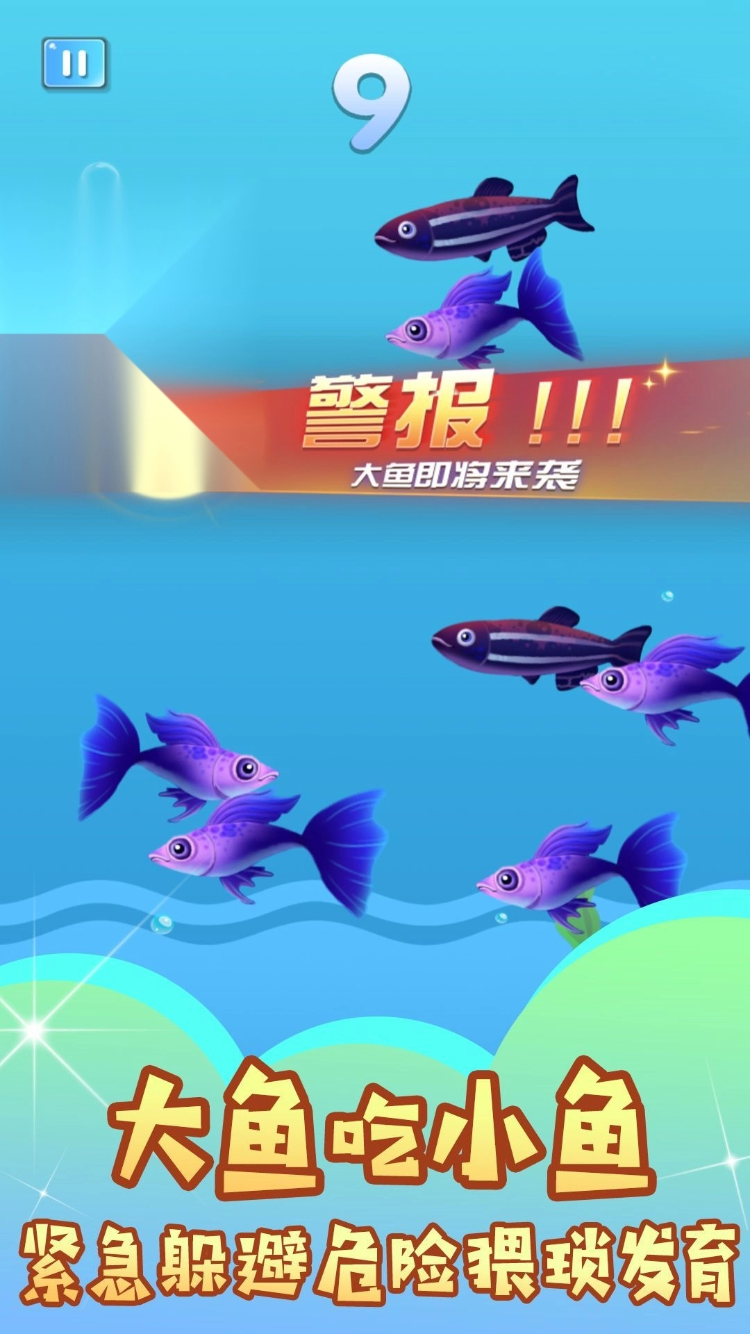 鱼吃鱼谁怕谁(1)