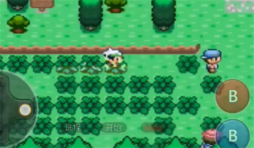 口袋妖怪神兽领域截图1