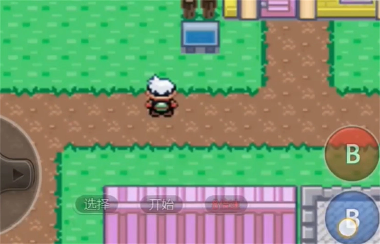 口袋妖怪神兽领域截图2