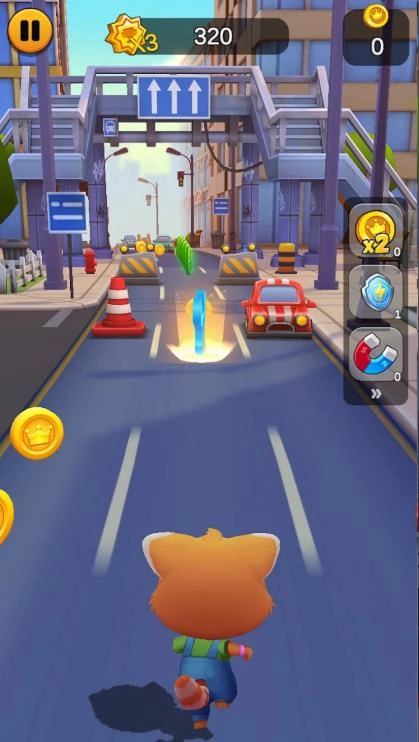 奔跑的宠物猫图2