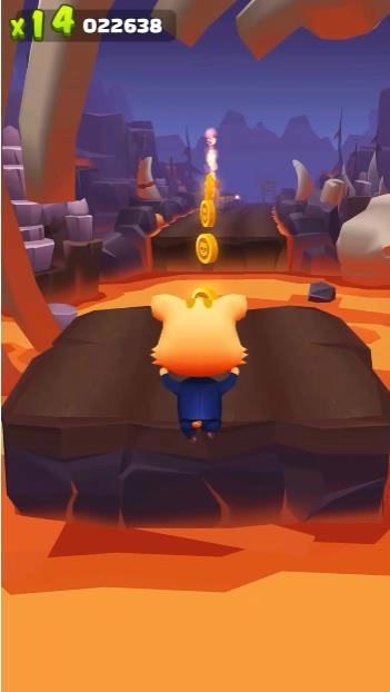 奔跑的宠物猫图3