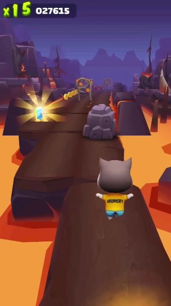 奔跑的宠物猫图5