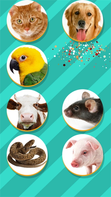 动物翻译器软件