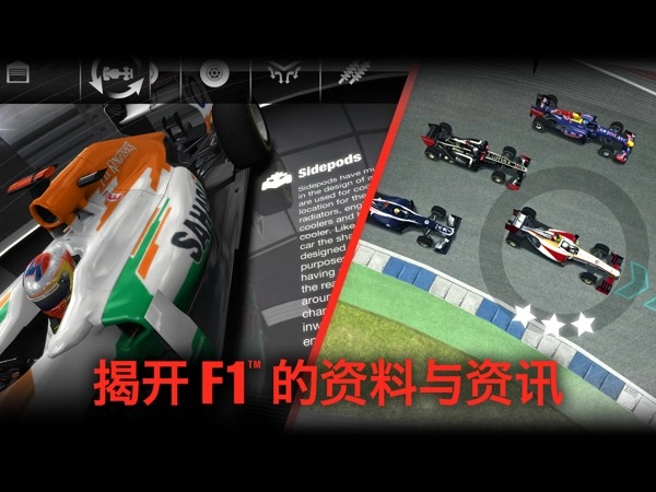 F1挑战赛图4