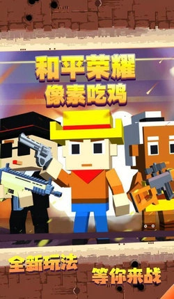 和平荣耀像素吃鸡(2)