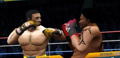 世界拳击比赛图3