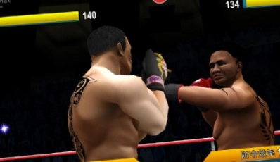 世界拳击比赛图4