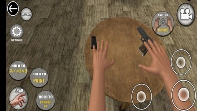 手掌模拟器中文版图3