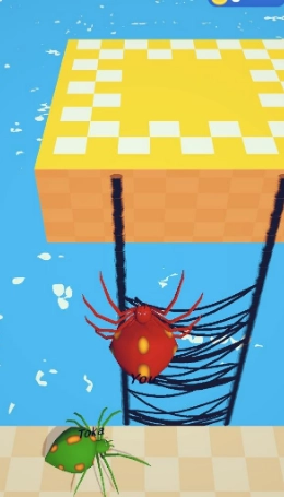 巨型蜘蛛竞技场图3