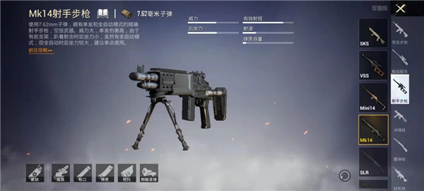 PUBG Mobile国际服MK14武器展示