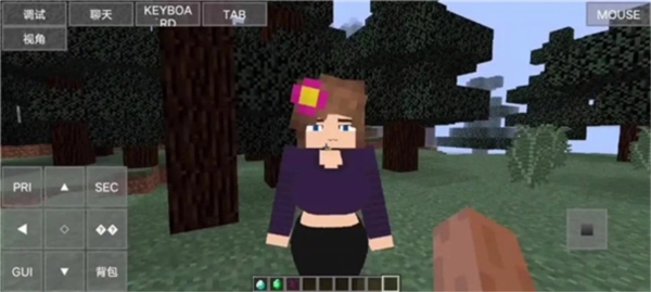 我的世界珍妮冒险图1