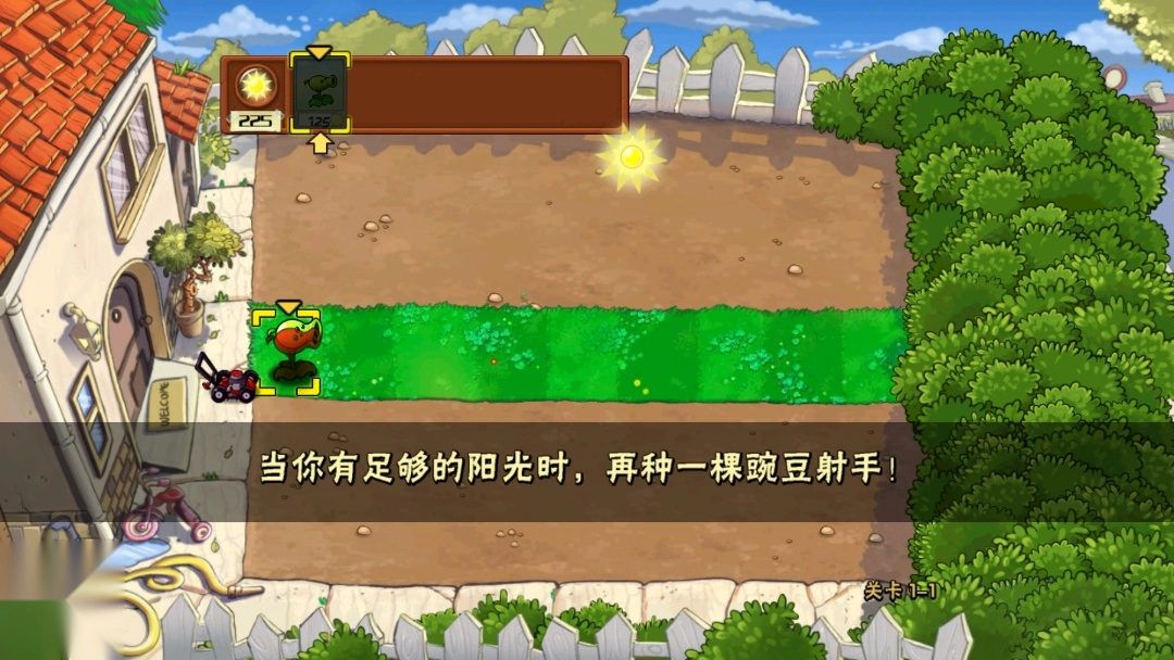 植物大战僵尸升天版(2)