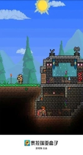 泰拉瑞亚盒子(1)