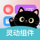 灵动皮肤小组件