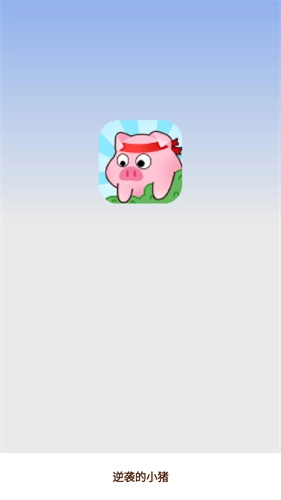 逆袭的小猪(2)
