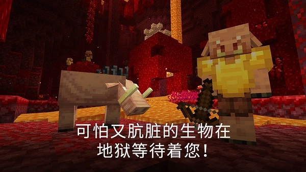 我的世界老版(1)