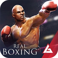真实拳击