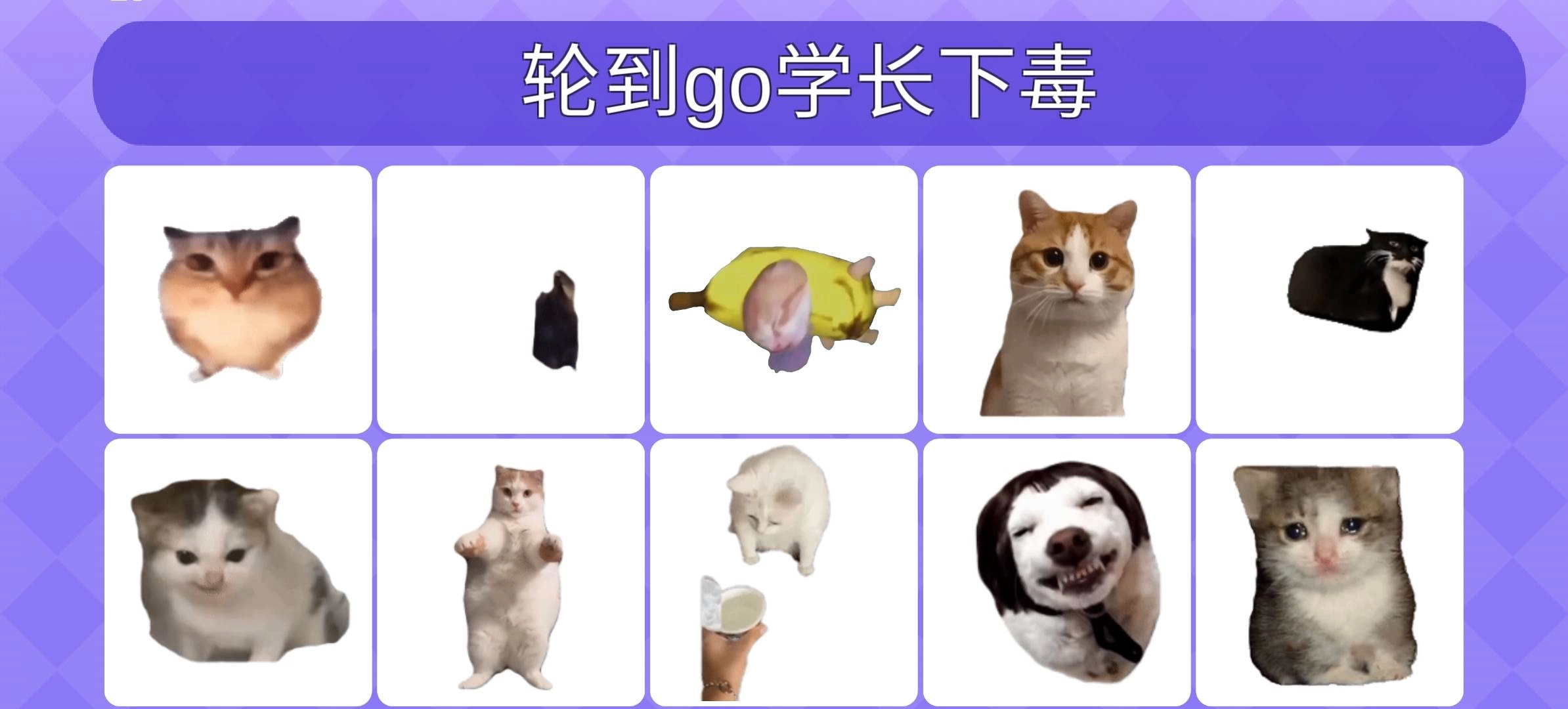 女巫的毒药猫meme版(3)