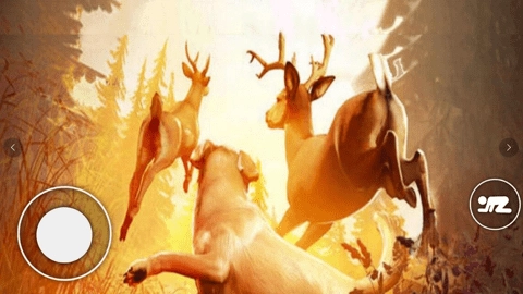 恐怖森林猎人(3)