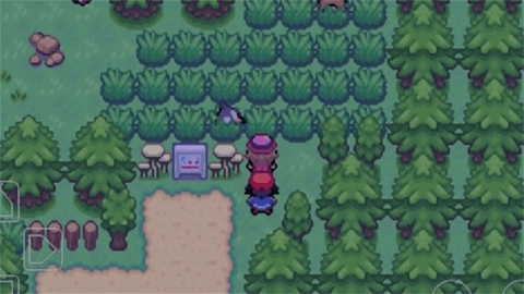 口袋妖怪龙之石34