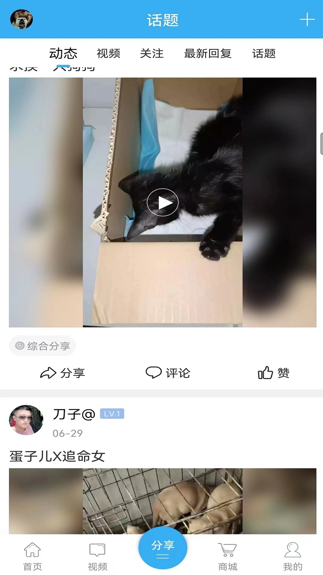 猛犬俱乐部图4