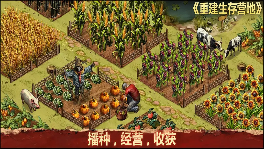 重建生存营地正版(3)