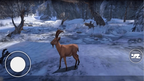 恐怖森林猎人(1)