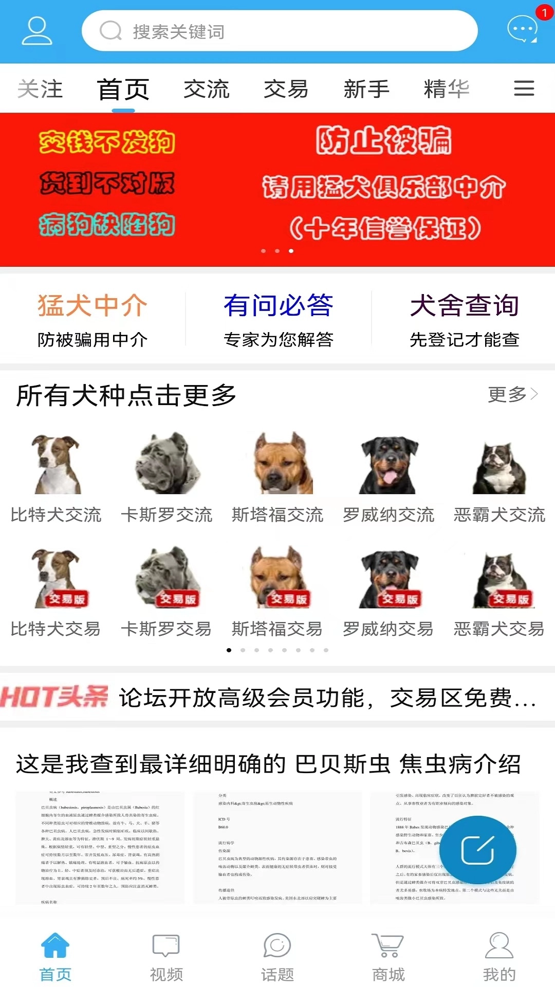 猛犬俱乐部图1