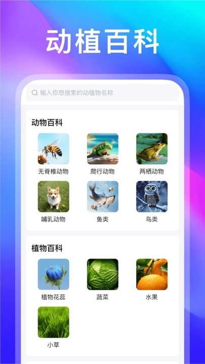 动物世界手机版图2