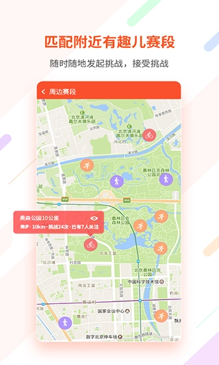 郁金香运动图2