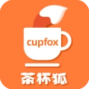 cupfox茶杯狐
